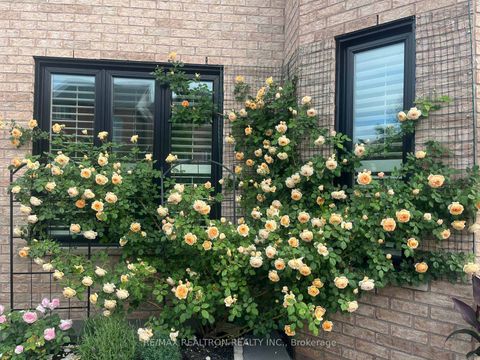 Photo 49 at 275 Sunset Beach Road, Oak Ridges Lake Wilcox, Richmond Hill