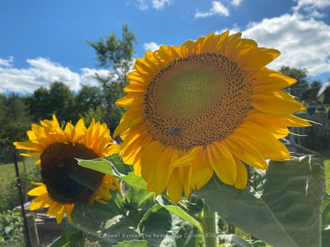 Photo 11 at 1229 County Road 124, Rural Clearview, Clearview