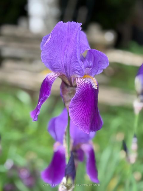 Photo 12 at 1229 County Road 124, Rural Clearview, Clearview