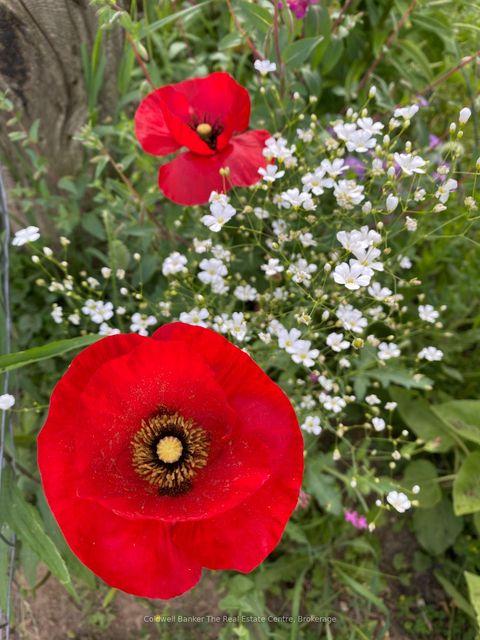 Photo 13 at 1229 County Road 124, Rural Clearview, Clearview