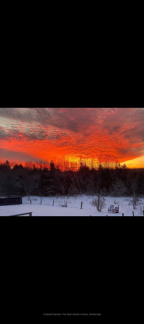 Photo 49 at 1229 County Road 124, Rural Clearview, Clearview