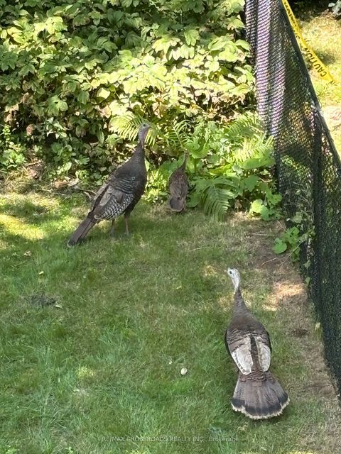 Photo 46 at 93 Westbury Court, Westbrook, Richmond Hill