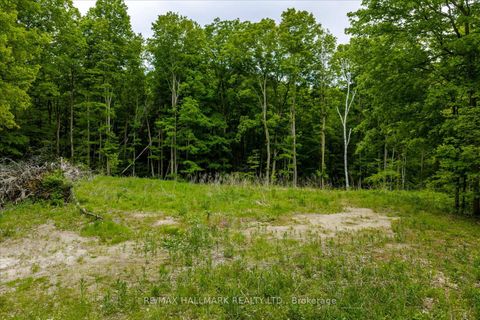 Photo 10 at 430 Churchill Avenue, Rural King, King