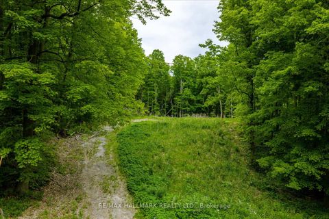 Photo 11 at 430 Churchill Avenue, Rural King, King