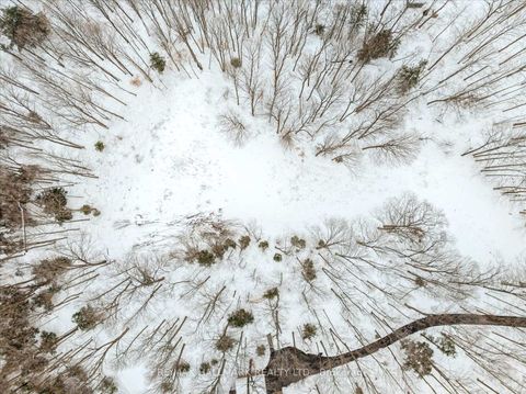 Photo 16 at 430 Churchill Avenue, Rural King, King