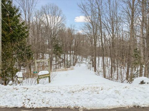 Photo 18 at 430 Churchill Avenue, Rural King, King