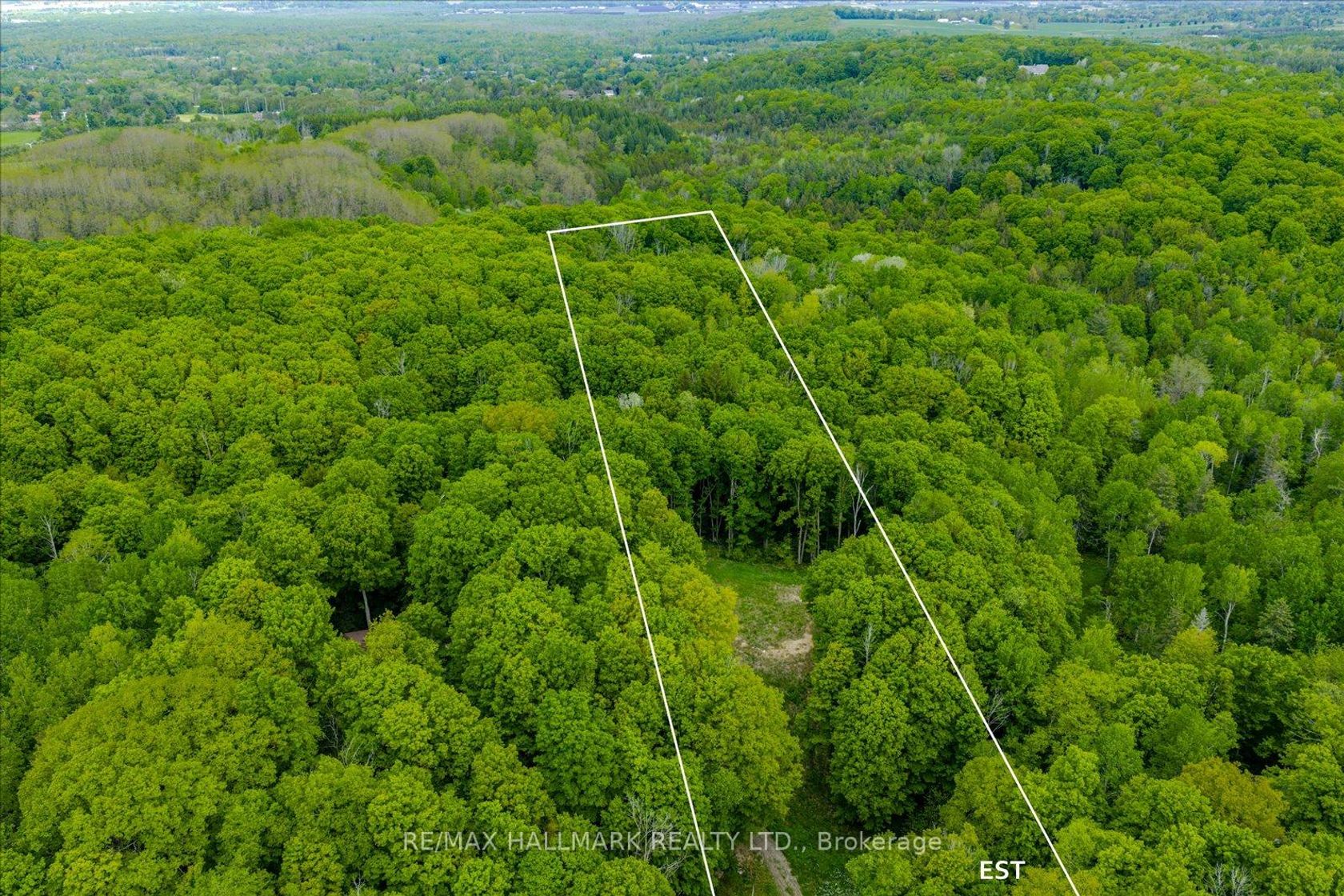 430 Churchill Avenue, Rural King, King photo 5