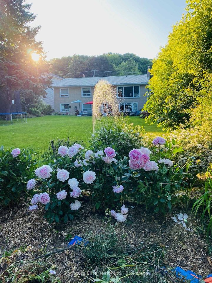 Photo 2 at 71 Sylvan Avenue, Scarborough Village, Toronto