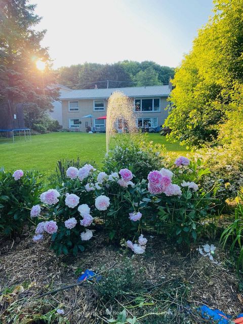 Photo 2 at 71 Sylvan Avenue, Scarborough Village, Toronto