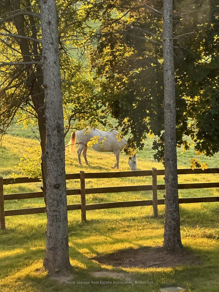 Photo 47 at 1067 Jerseyville Road W, Ancaster, Hamilton