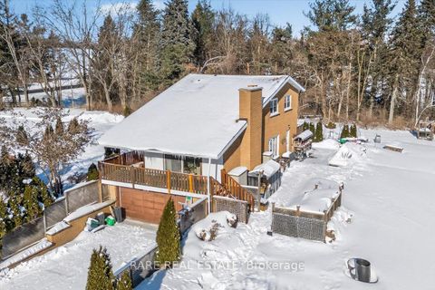 Photo 41 at 6695 10 Side Road, Rural Innisfil, Innisfil