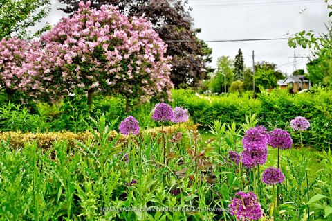 Photo 37 at 39 Penworth Road, Maryvale, Toronto