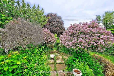 Photo 38 at 39 Penworth Road, Maryvale, Toronto