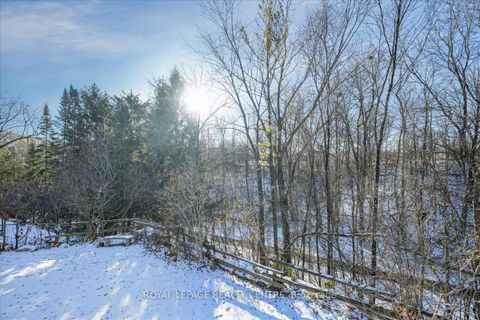 Photo 38 at 21 Pylon Place, Old Rexdale, Toronto