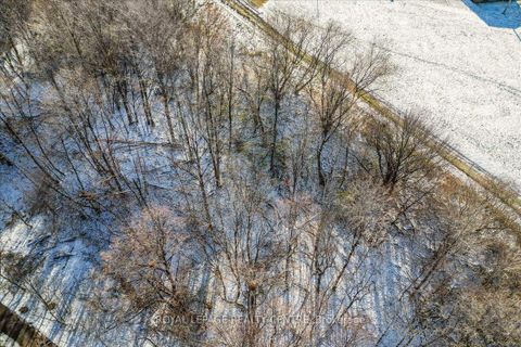 Photo 46 at 21 Pylon Place, Old Rexdale, Toronto