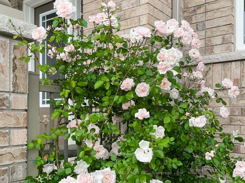 Photo 34 at 797 Green Street, Lefroy, Innisfil