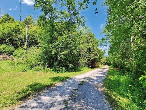 Photo 43 at 27352 Highway 48, Sutton & Jackson's Point, Georgina