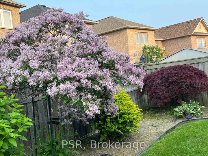 Photo 42 at 9 White Beach Crescent, Patterson, Vaughan