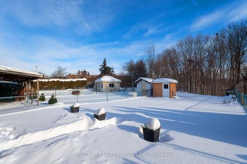 Photo 41 at 27 Clubhouse Court, Jane Heights, Toronto