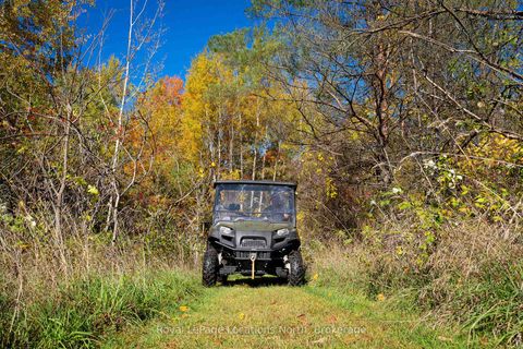 Photo 47 at 7833 Poplar Side Road, Rural Clearview, Clearview