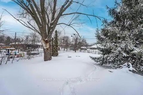 Photo 24 at 55 Davidson Street, Wellington, Barrie