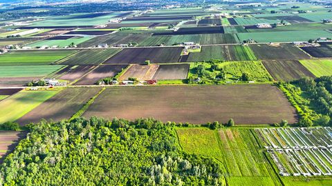 Photo 8 at 325 Lipchey Road, Rural King, King