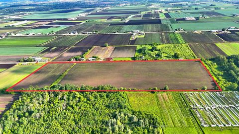 Photo 9 at 325 Lipchey Road, Rural King, King