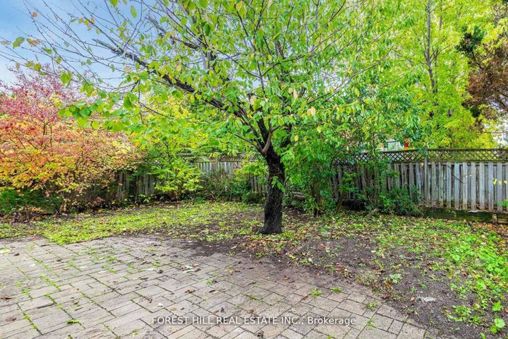 Photo 29 at 51 Briggs Avenue, Doncrest, Richmond Hill