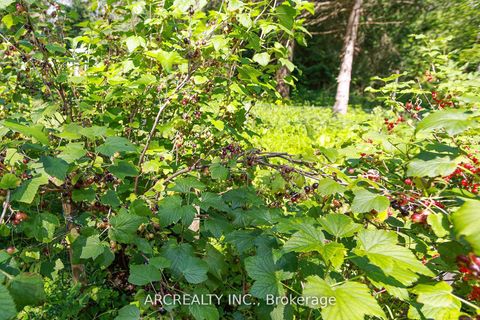 Photo 23 at 4400 Lloydtown Aurora Road, Pottageville, King