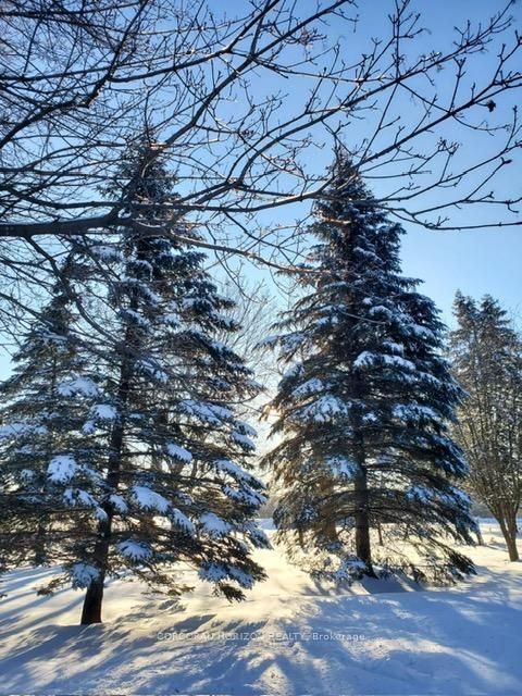 Photo 4 at 19572 Centre Street, Rural East Gwillimbury, East Gwillimbury