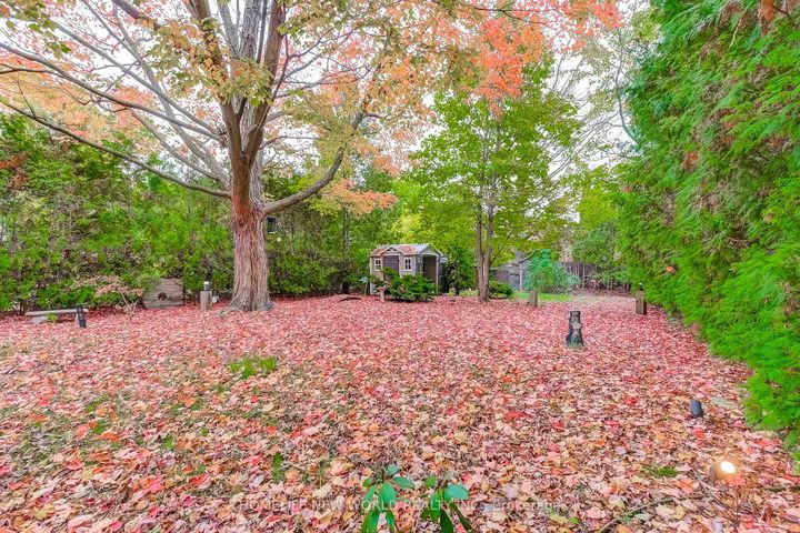 Photo 45 at 59 Bobmar Road, Highland Creek, Toronto