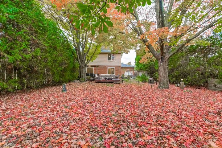 Photo 46 at 59 Bobmar Road, Highland Creek, Toronto