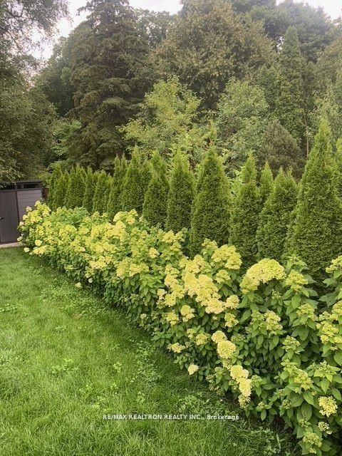 Photo 44 at 9 Karen Road, Donalda, Toronto