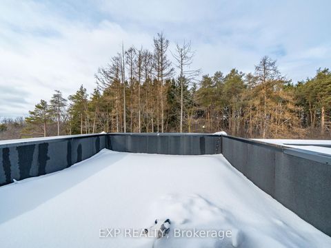 Photo 40 at 121 Milky Way Drive, Observatory, Richmond Hill