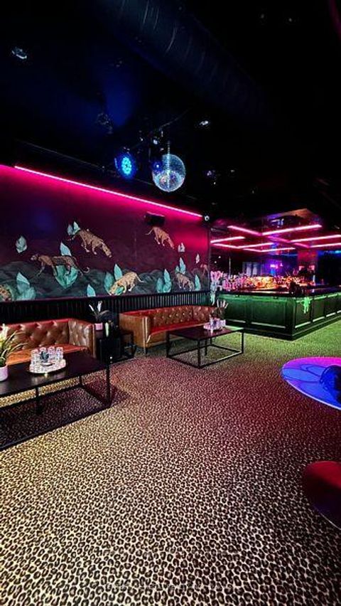 Photo 6 at 563 QUEEN Street W, University, Toronto