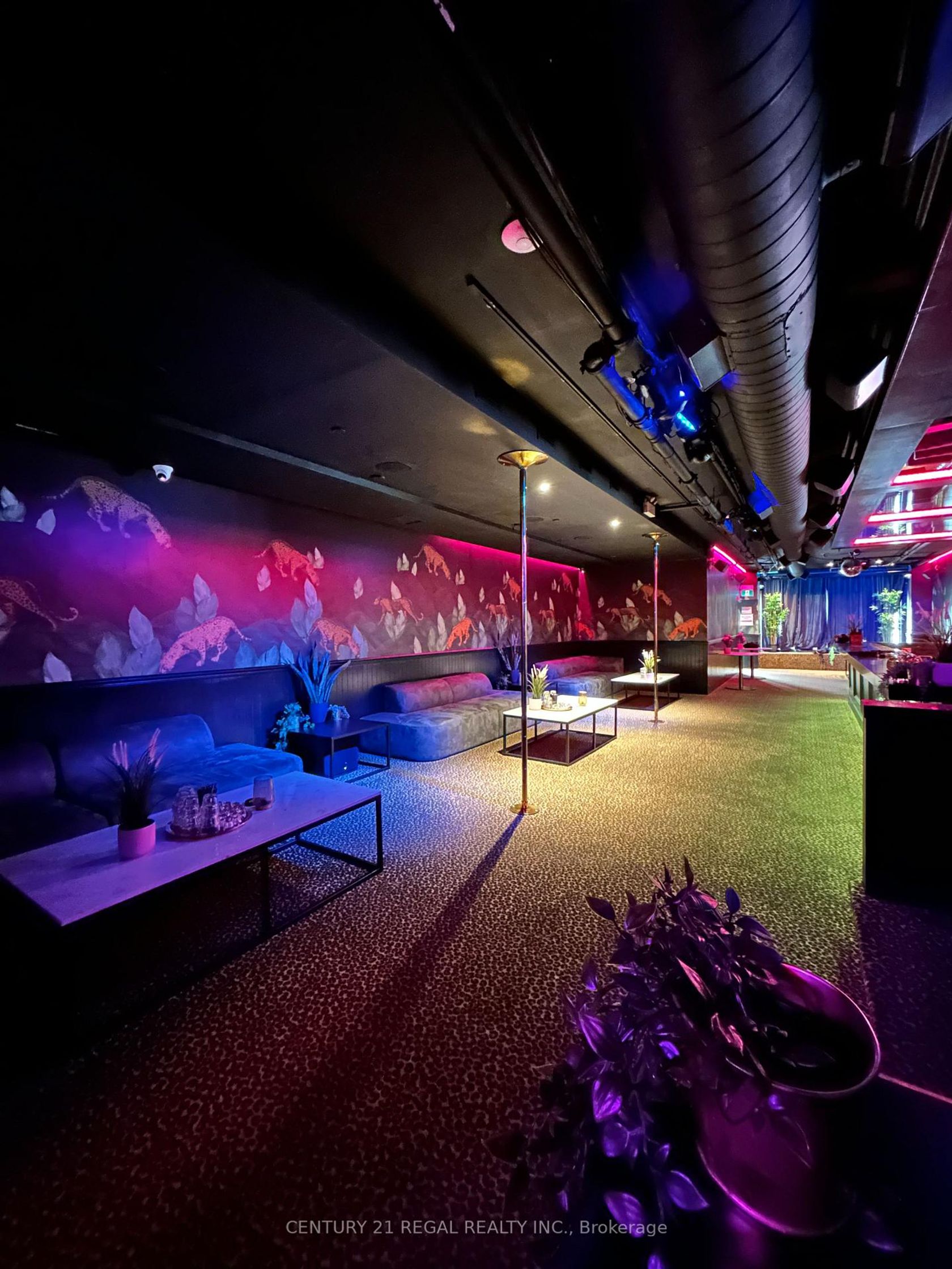 563 QUEEN Street W, University, Toronto photo 5