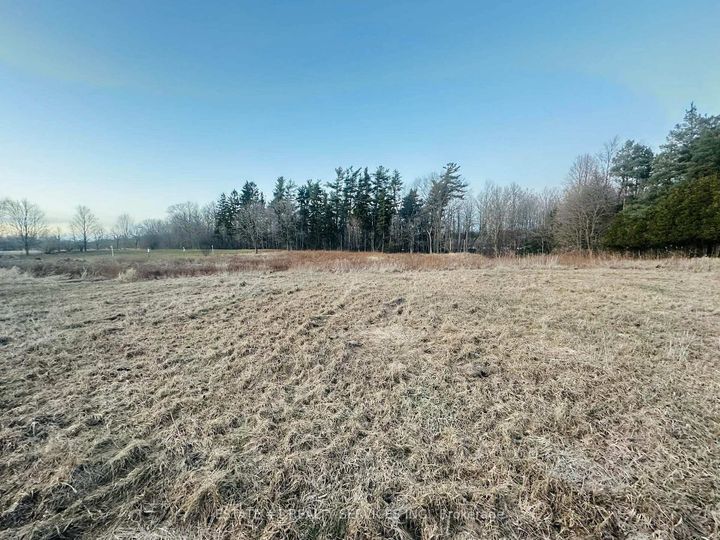 Photo 2 at 10231 Old Pinecrest Road, Northwest Brampton, Brampton