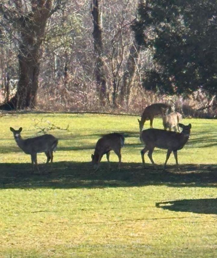 Photo 3 at 10231 Old Pinecrest Road, Northwest Brampton, Brampton