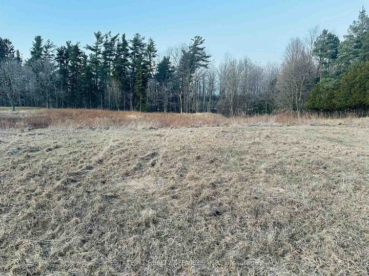 Photo 4 at 10231 Old Pinecrest Road, Northwest Brampton, Brampton