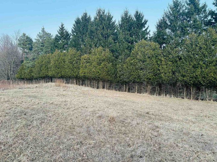 Photo 5 at 10231 Old Pinecrest Road, Northwest Brampton, Brampton