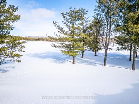 Photo 49 at 1092 County Road 124 Road, Singhampton, Clearview