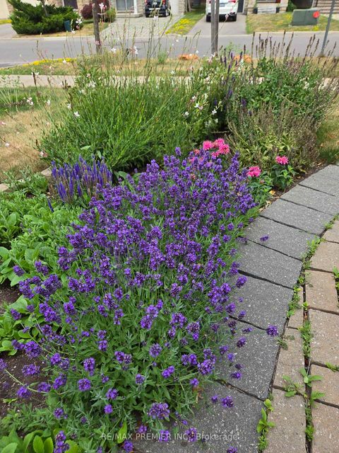 Photo 38 at 32 Blue Grouse Road, Patterson, Vaughan