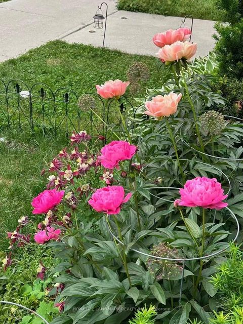 Photo 36 at 160 William Duncan Road, CFB, Toronto