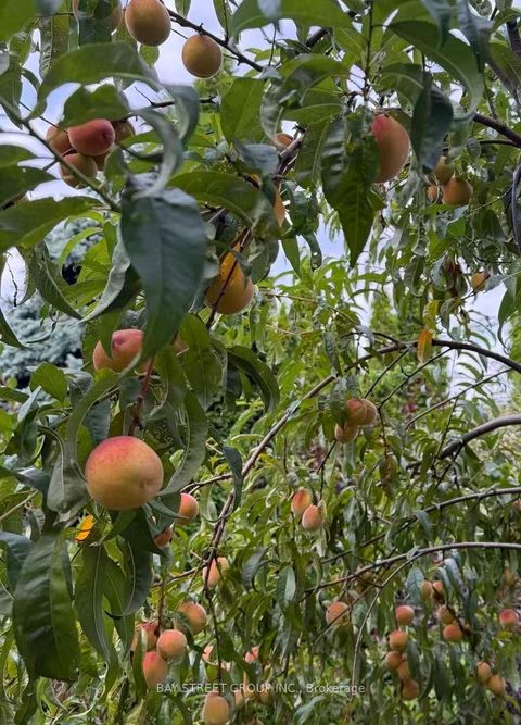 Photo 40 at 10 Kimono Crescent, Rouge Woods, Richmond Hill