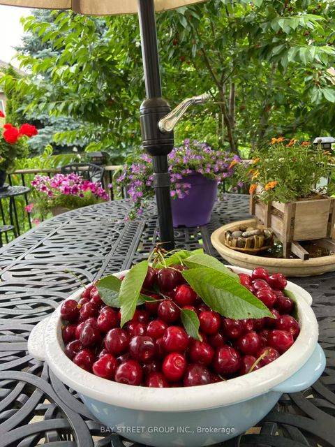 Photo 42 at 10 Kimono Crescent, Rouge Woods, Richmond Hill