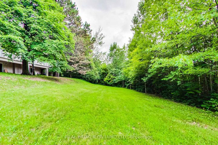 Photo 27 at 48 Silvergrove Road, Windfields, Toronto