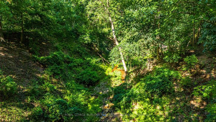 Photo 41 at 3 Oakwood Place, Westdale, Hamilton