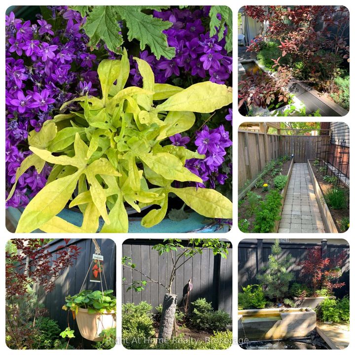 Photo 47 at 5224 Verhoeven Road, Appleby, Burlington