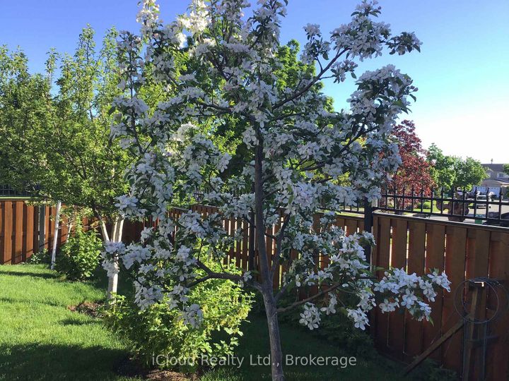 Photo 44 at 6539 Tripoli Terrace, Meadowvale, Mississauga