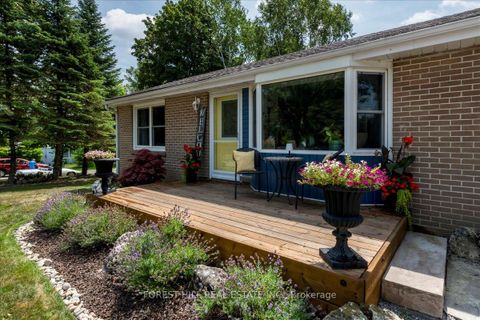 Photo 26 at 164 Avenue Road, Central Newmarket, Newmarket